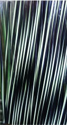 STRAWS DUEL COLOR BLACK/WHITE - 1809 - 00102